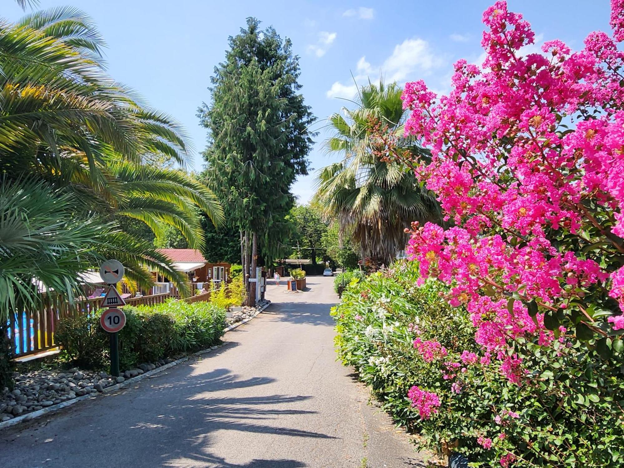 Campingplatz Nature Pau